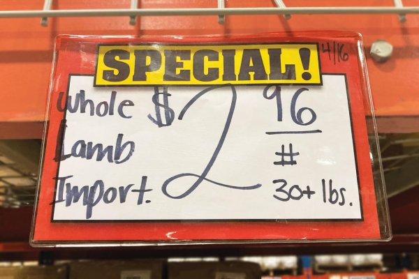 8 1/2 x 5 1/2 (insert) Clear Pouch Top opening w/ 1 Magnet