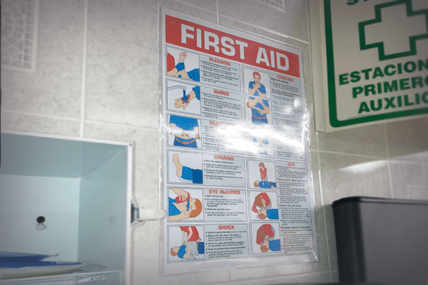 11 x 17" Press-on adhesive vinyl envelope OPEN SHORT